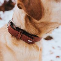 HUNTER Hondenhalsband Canadian Up, bruin, Maat: 55 - thumbnail