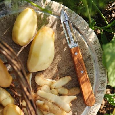 Opinel Dunschiller - nr.115