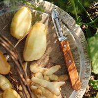 Opinel Dunschiller - nr.115 - thumbnail