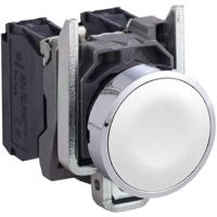 Schneider Electric XB4BA11 XB4BA11 Druktoets Moment 1 stuk(s) - thumbnail