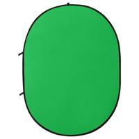 VidaXL Achtergrondscherm studio 2-in-1 ovaal 200x150 cm groen en blauw - thumbnail