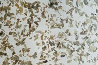Eglo Natuurlijke hanglampButterburn 3-lichts - 43937 - thumbnail