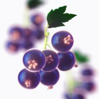 Tommy Hilfiger Girl Now Eau de Toilette - thumbnail