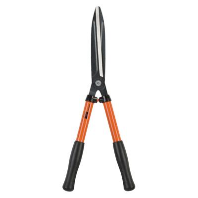 HEGGESCHAAR P59-25