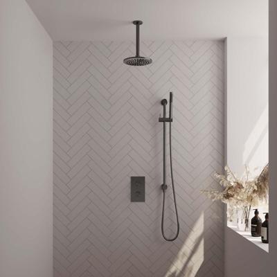 BRAUER Gunmetal Edition thermostatische inbouw regendouche 3-weg omstelling SET 41 met 20 cm douchekop en plafondarm en staaf handdouche en doucheslang en geïntegreerde glijstang gunmetal geborsteld PVD BRAUER Gunmetal Edition thermostatische inbouw regendouche 3-weg omstelling SET 41 met 20 cm douchekop en plafondarm en staaf handdouche en doucheslang en geïntegreerde glijstang gunmetal geborsteld PVD