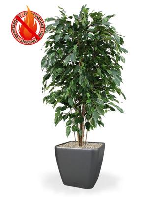 Ficus Exotica deluxe kunstplant 150cm - groen - FR - brandvertragend