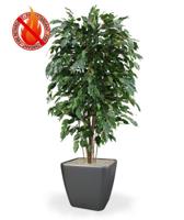Ficus Exotica deluxe kunstplant 150cm - groen - FR - brandvertragend - thumbnail