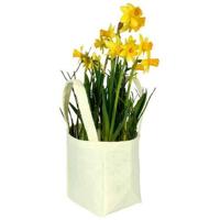 Tas Pastel vilt 9,5x9xH11cm geel (20 stuks) - thumbnail