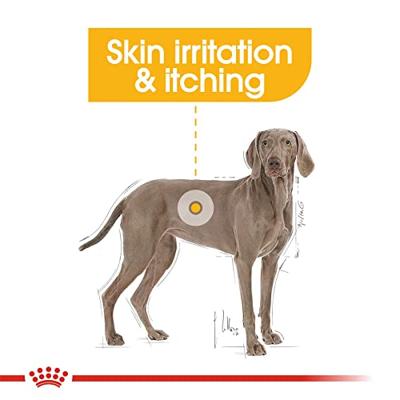 Royal Canin Maxi Dermacomfort hondenvoer 2 x 12 kg