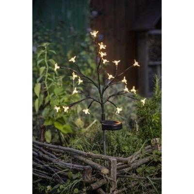 Arbusto a fioritura solare - GALIX - G4505 - H72