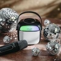Adler AD 1199 zwarte karaokeluidspreker met microfoon - SD/USB/AUX/Bluetooth - thumbnail