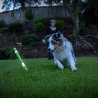 Chuckit max glow ultra fetchstick groen - thumbnail