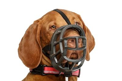 Baskerville ultra muzzle muilkorf - thumbnail