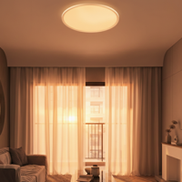 Lyora PlafonniereAoton wit Ø 60cm - 9030511 - thumbnail