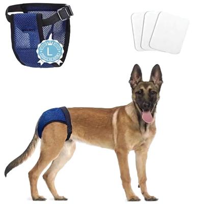 Nobleza Hondenbroekje met 3 pads - Maat L Nobleza Hondenbroekje met 3 pads - Maat L