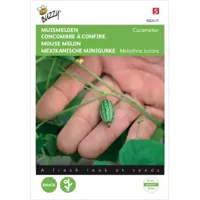 Muismeloen, Cucamelon - thumbnail