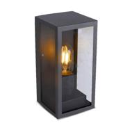 Industriële LED Wandlamp - Excl. E27 lichtbron - IP44 - Helder glas - Zwart - thumbnail