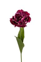 Papegaaitulp l66cm magenta kunstbloem Louis Maes - Louis maes - thumbnail