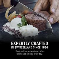 Victorinox 7.7303.17G Santoku mes Zwart - thumbnail