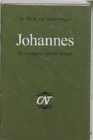 Johannes - P.H.R. van Houwelingen - Paperback (9789024260980) - thumbnail