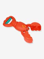 nan koraal - thumbnail