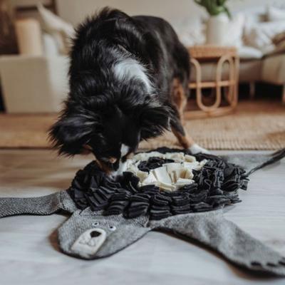 HUNTER Honden-snuffelmat Billund Beer, grijs