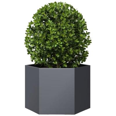 VidaXL Plantenbak zeshoek 69x60x45 cm staal antracietkleurig