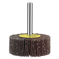 Bosch Accessoires Lamellenstift | Ø 50 X 20 mm | G60 - 2609256282 - thumbnail