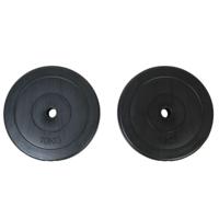 VidaXL Halterschijven 2 x 10 kg - thumbnail