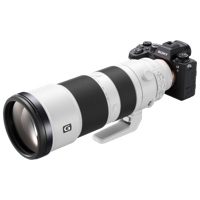 Sony A9 II + 200-600mm FE F/5.6-6.3 G OSS - thumbnail