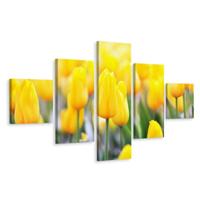 Schilderij - Gele tulpen veld, 5luik, premium print - thumbnail