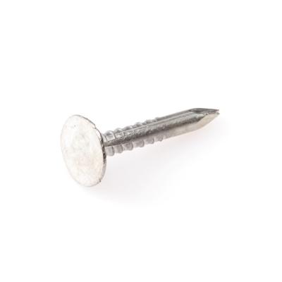 Asfaltnagel 3.0X15 (350GR) verzinkt Eurofix - Eurofix Asfaltnagel 3.0X15 (350GR) verzinkt Eurofix - Eurofix