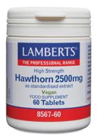 Crataegus 2500mg (hawthorn) 60 Tabletten - thumbnail