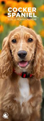 Engelse Cocker Spaniel Slimline Kalender 2026