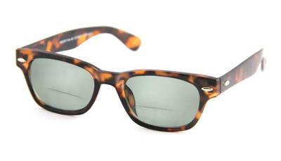 Leeszonnebril INY Woody Bifocaal G13600-Havanna -+2.50