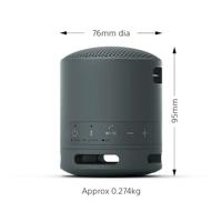 Sony SRSXB100B.CE7 Bluetooth luidspreker Handsfree-functie, Spatwaterdicht Zwart - thumbnail