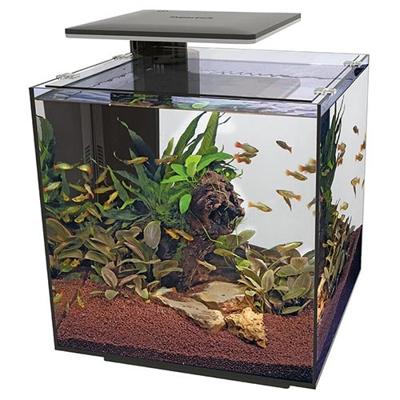 Superfish Qubiq 60 pro zwart