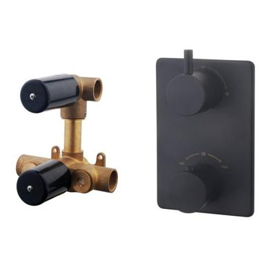 Wiesbaden Caral thermostatische inbouwdouchekraan met 2 functies omstel mat zwart sw62490/SW158719