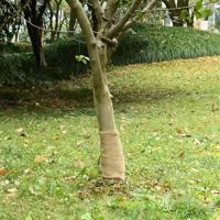 VidaXL Jute rol 200 g/m² 0,25x50 m 100% jute - thumbnail
