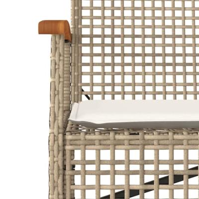 Tuinbank met kussen poly rattan en acaciahout beige Tuinbank met kussen poly rattan en acaciahout beige