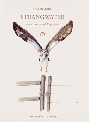 Strangwater - Gijs Wilbrink - ebook