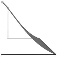 Luifel uittrekbaar 300x150 cm stof en staal antracietkleurig - thumbnail