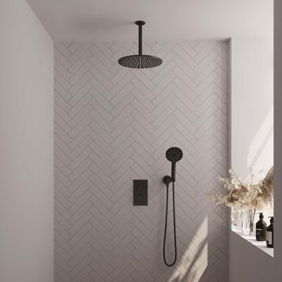 Inbouw Regendouche Set Brauer Black Edition Plafond Uitloop Ronde Hoofddouche 30 cm Met Handdouche 3 Standen Mat Zwart Brauer