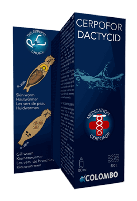Cerpofor Dactycid 100 Ml-500 Liter vijver SuperFish - Superfish