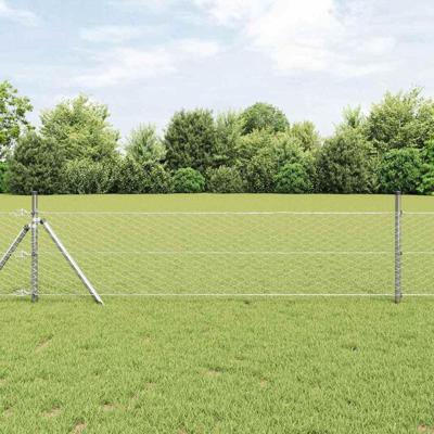 VidaXL Afrasteringspaal zilver 50 x 0,6 m (36 mm gaas) staal