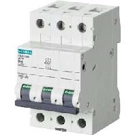 Siemens 5SL63067 5SL6306-7 Zekeringautomaat 3-polig 6 A 400 V