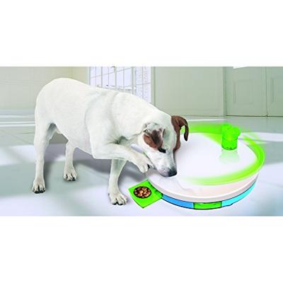 Pawise Dog Training Toy