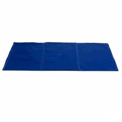 Kleed voor honden Verfrissend Blauw Schuim Gel 49,5 x 1 x 90 cm (6 Stuks)