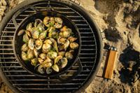 The Windmill Dutch Oven medium - 2,5 liter - thumbnail