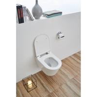 Wandcloset Sanilux Easy Flush Rimfree Sanilux - thumbnail